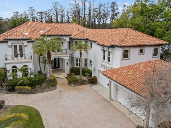 8609 DOLCE VITA LANE, ODESSA, FL 33556