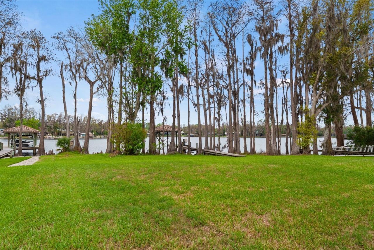 8609 Dolce Vita Lane, Odessa, FL 33556 Photo