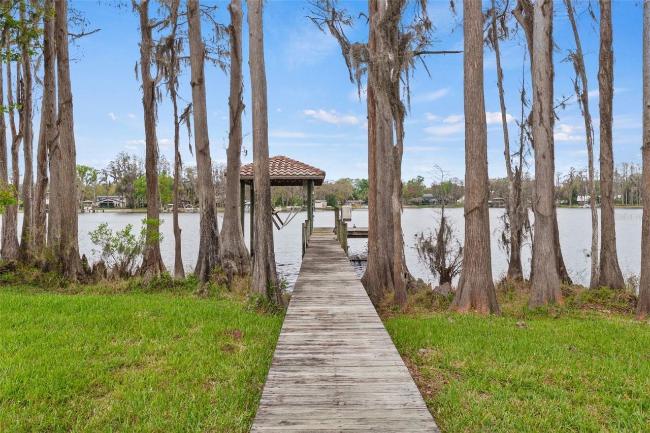 8609 Dolce Vita Lane, Odessa, FL 33556 Photo