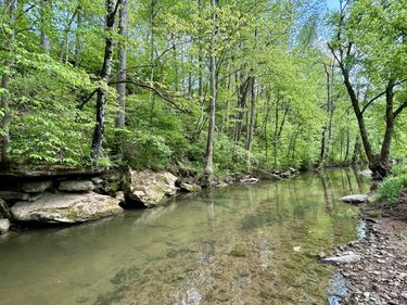 1571 Kit Cowan Road, Somerset, KY 42501