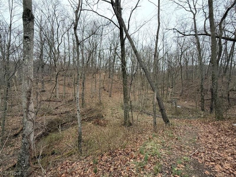 2630 Wilhelm Road, Chandlersville, OH 43727 Photo 26