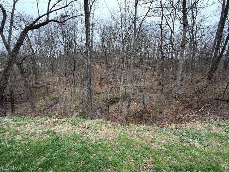 2630 Wilhelm Road, Chandlersville, OH 43727 Photo 27