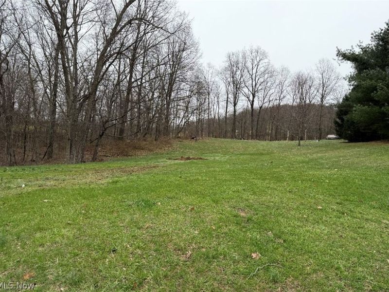 2630 Wilhelm Road, Chandlersville, OH 43727 Photo 4