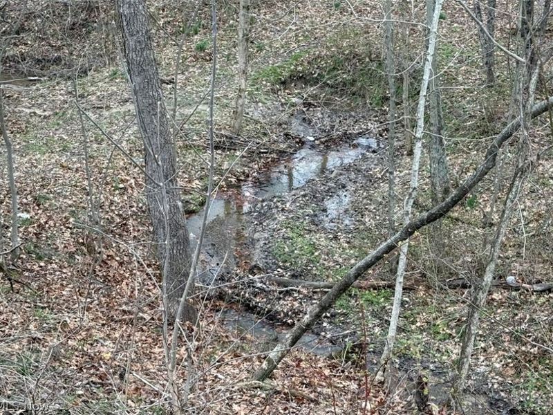 2630 Wilhelm Road, Chandlersville, OH 43727 Photo 5