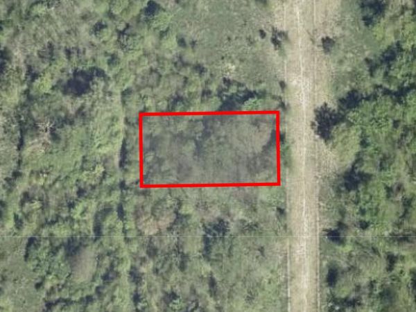 15316 S Zion Avenue , South Holland, IL 60473