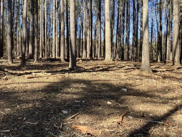 0 Pine Crest Lane, Freehold, NY 12431