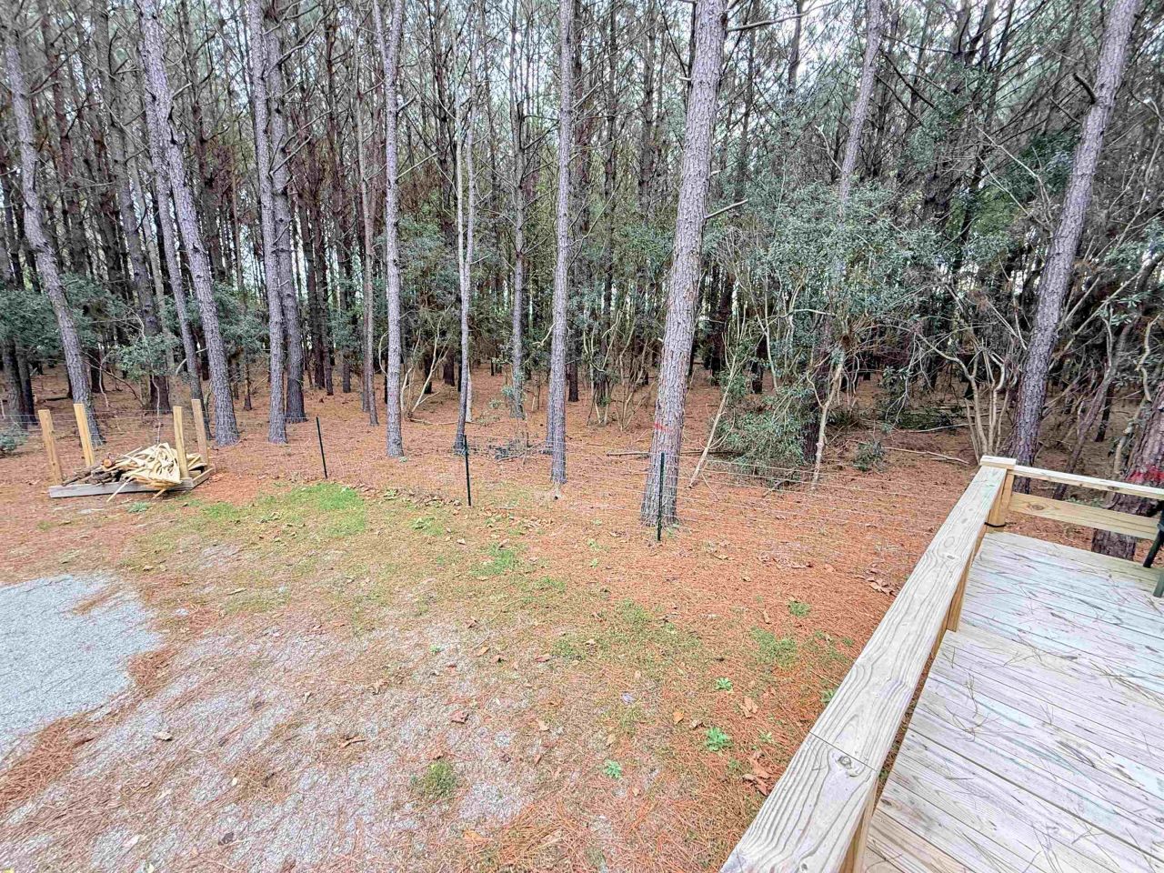 2.11 Acres Boggy Branch Rd. Photo 12