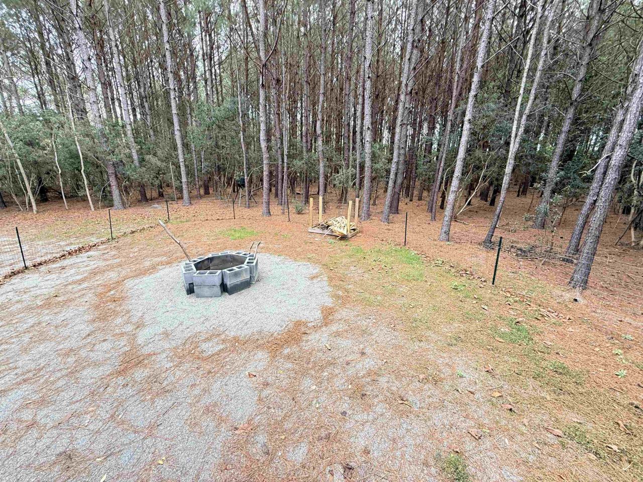 2.11 Acres Boggy Branch Rd. Photo 13