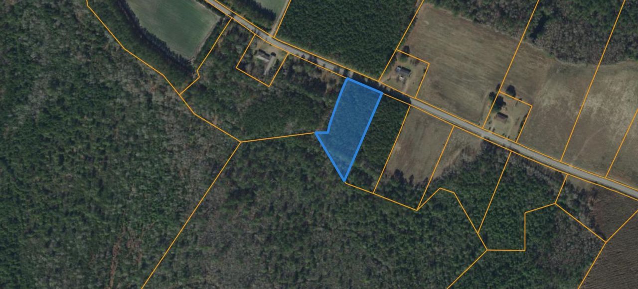 2.11 Acres Boggy Branch Rd. Photo 16