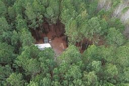 2.11 Acres Boggy Branch Rd. photo 4