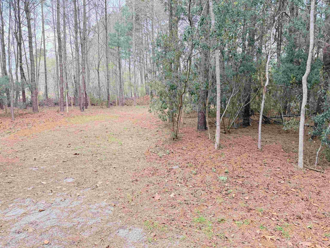 2.11 Acres Boggy Branch Rd. Photo 7