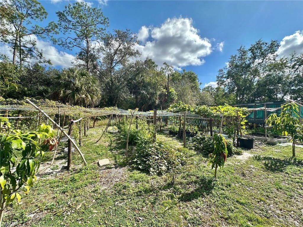 9320 Buckingham Rd, Fort Myers, FL 33905 Photo