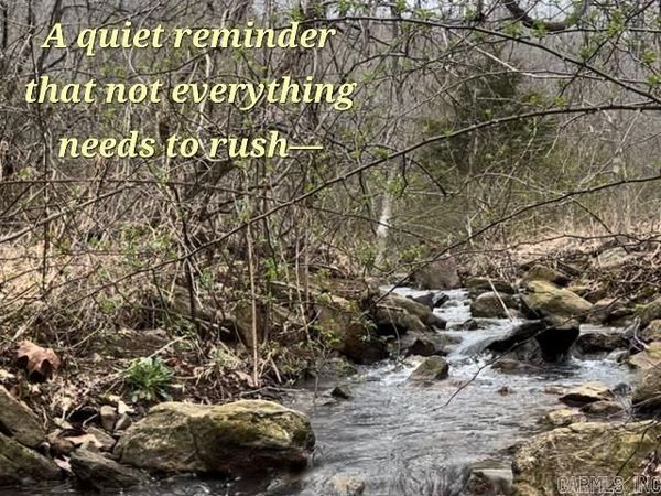 2726 Little Red River Road, Marshall, AR 72650