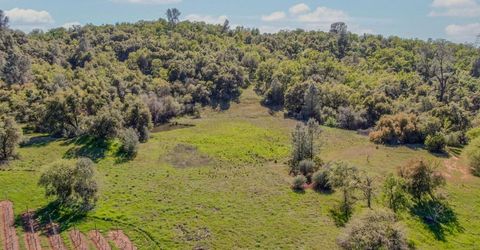 360 Pyshon Rd, Vallecito, CA 95222 Photo