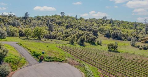 360 Pyshon Rd, Vallecito, CA 95222 Photo