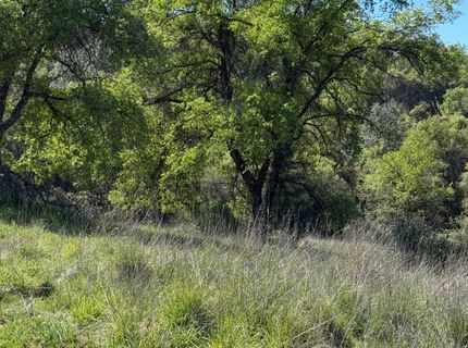 360 Pyshon Rd, Vallecito, CA 95222 Photo