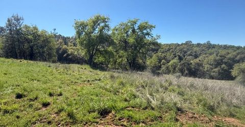 360 Pyshon Rd, Vallecito, CA 95222 Photo