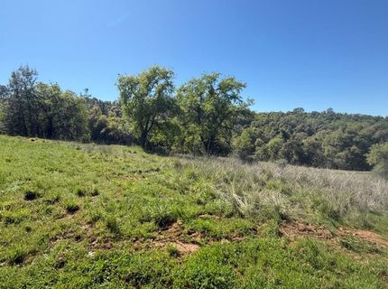 360 Pyshon Rd, Vallecito, CA 95222 Photo