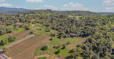 360 Pyshon Rd, Vallecito, CA 95222 Photo