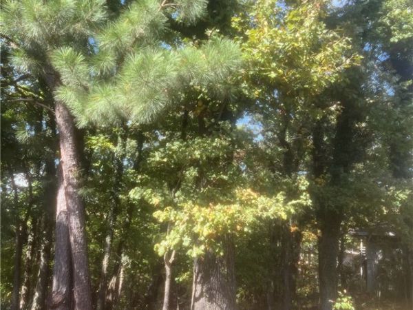 Ulverston Drive , Bella Vista, AR 72714