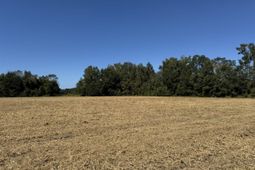 0 Clarks Hill Drive photo 4