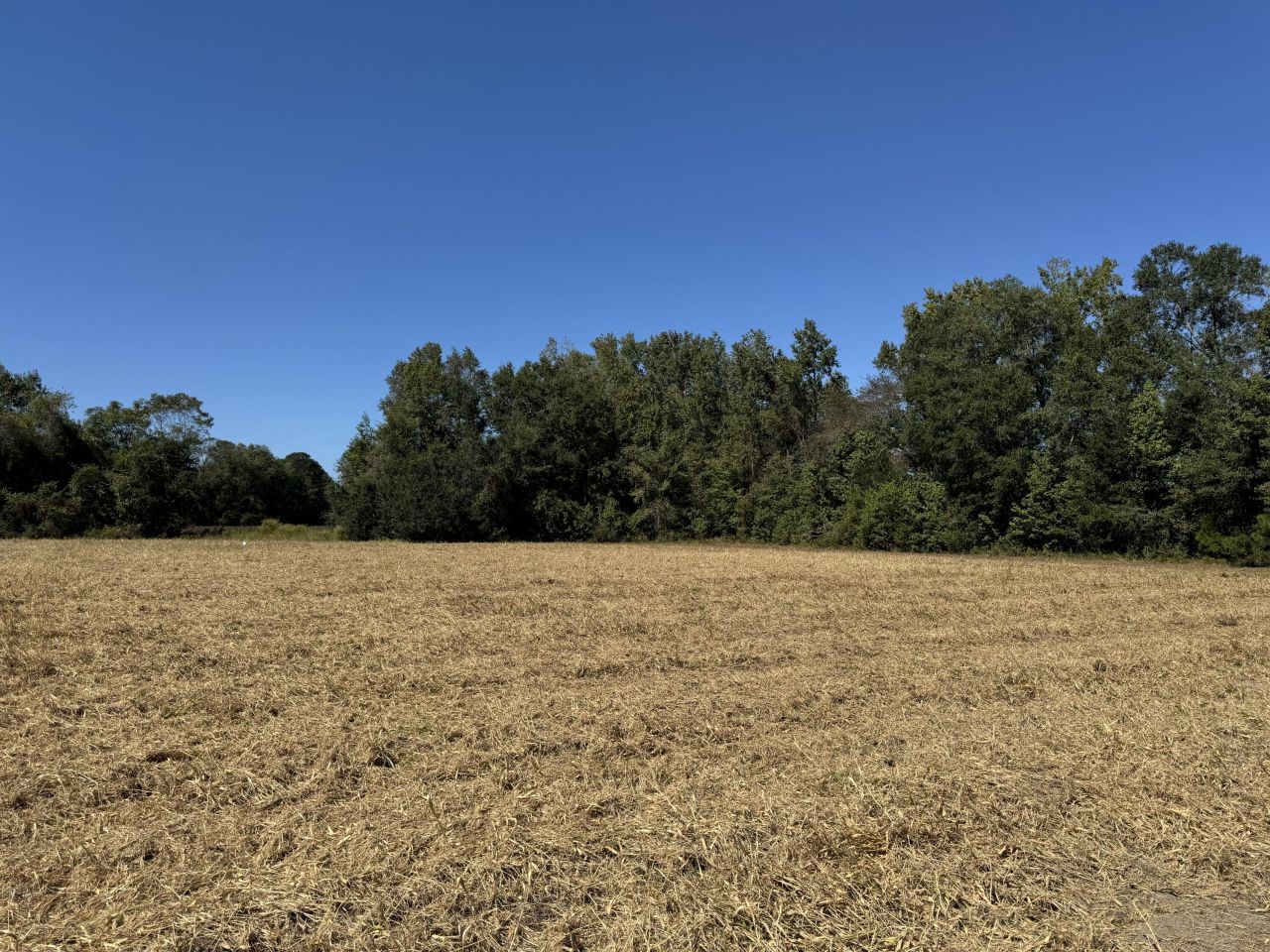 0 Clarks Hill Drive Photo 4