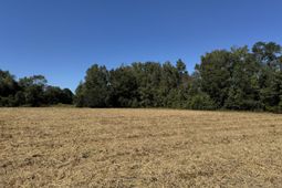 0 Clarks Hill Drive photo 4