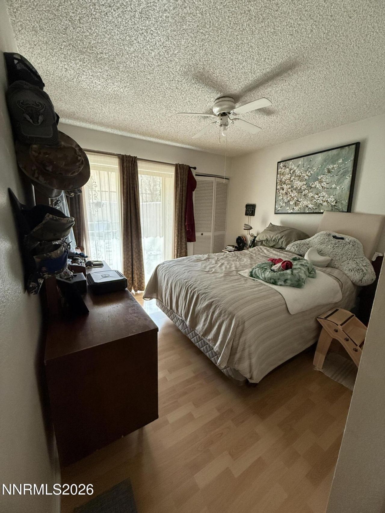 8790 Dixon Lane, Reno, NV 89511 Photo