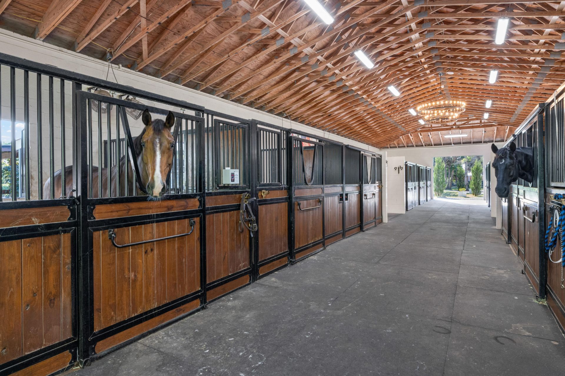 15161 Collecting Canal Road, Loxahatchee Groves, FL 33470 Photo