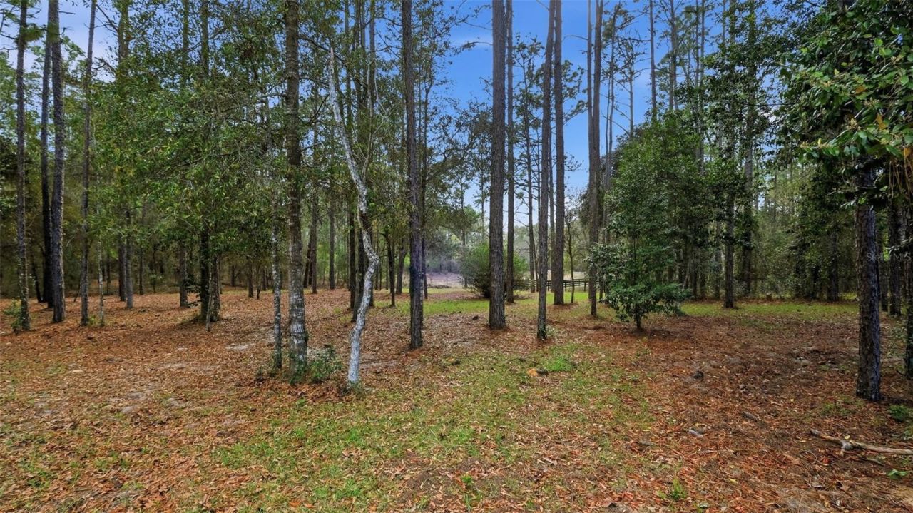 12092 S Hyacinth Point, Floral City, FL 34436 Photo