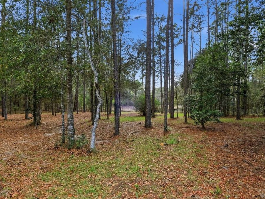 Property Image 67