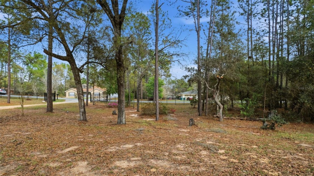 12092 S Hyacinth Point, Floral City, FL 34436 Photo
