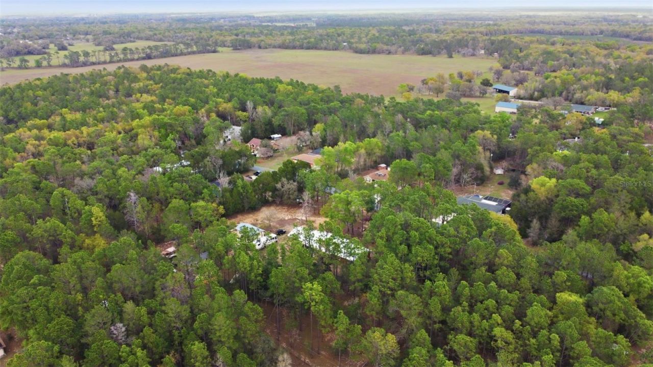 12092 S Hyacinth Point, Floral City, FL 34436 Photo