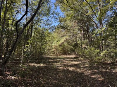 0 Clarks Hill Drive, Unit 1, Saint George, SC 29477