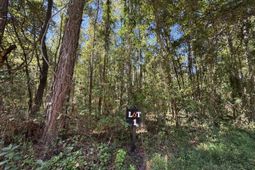 0 Clarks Hill Drive photo 4