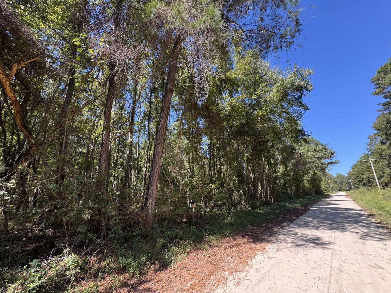 0 Clarks Hill Drive Photo 4