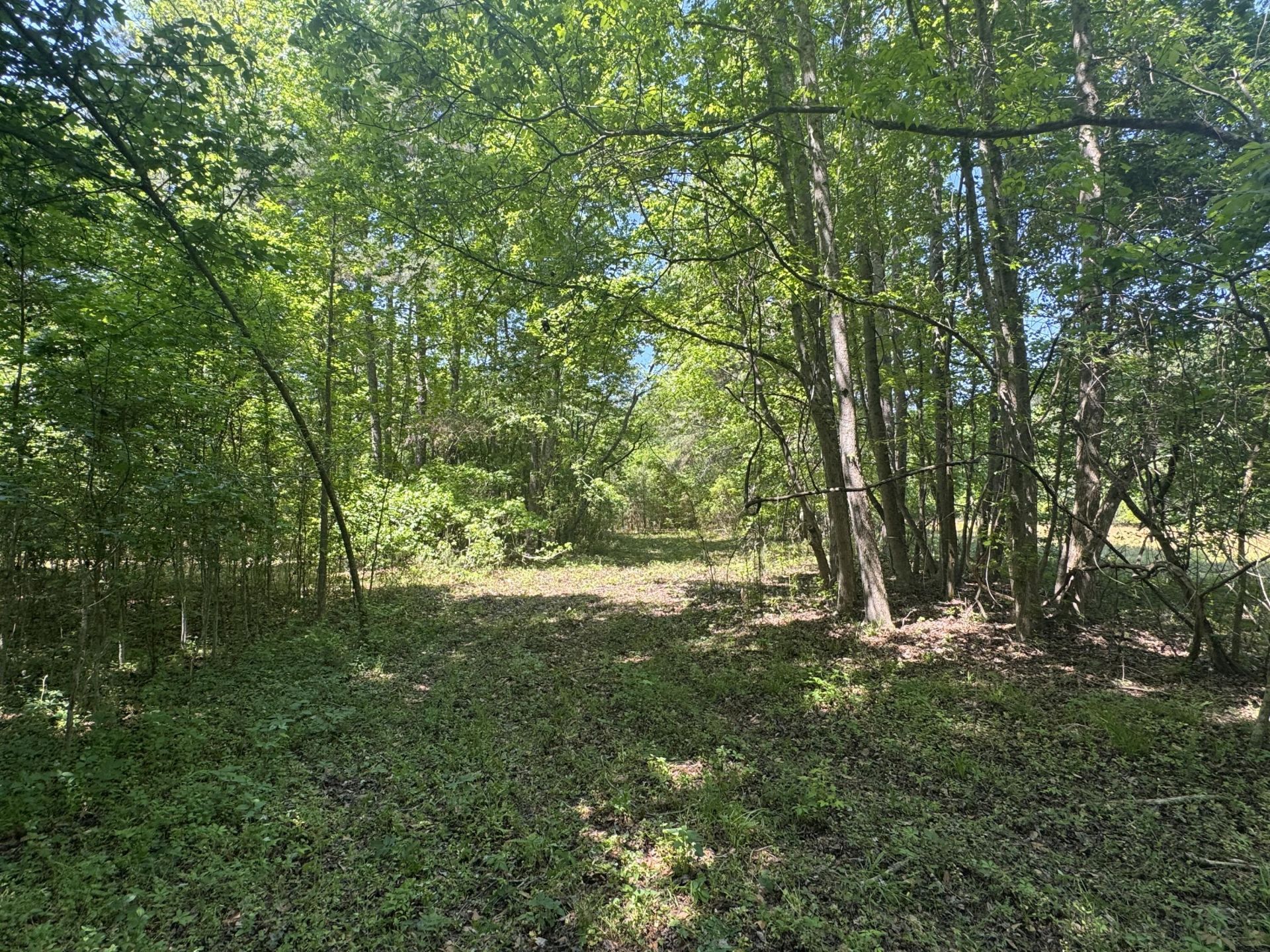 0 Clarks Hill Drive Photo 6