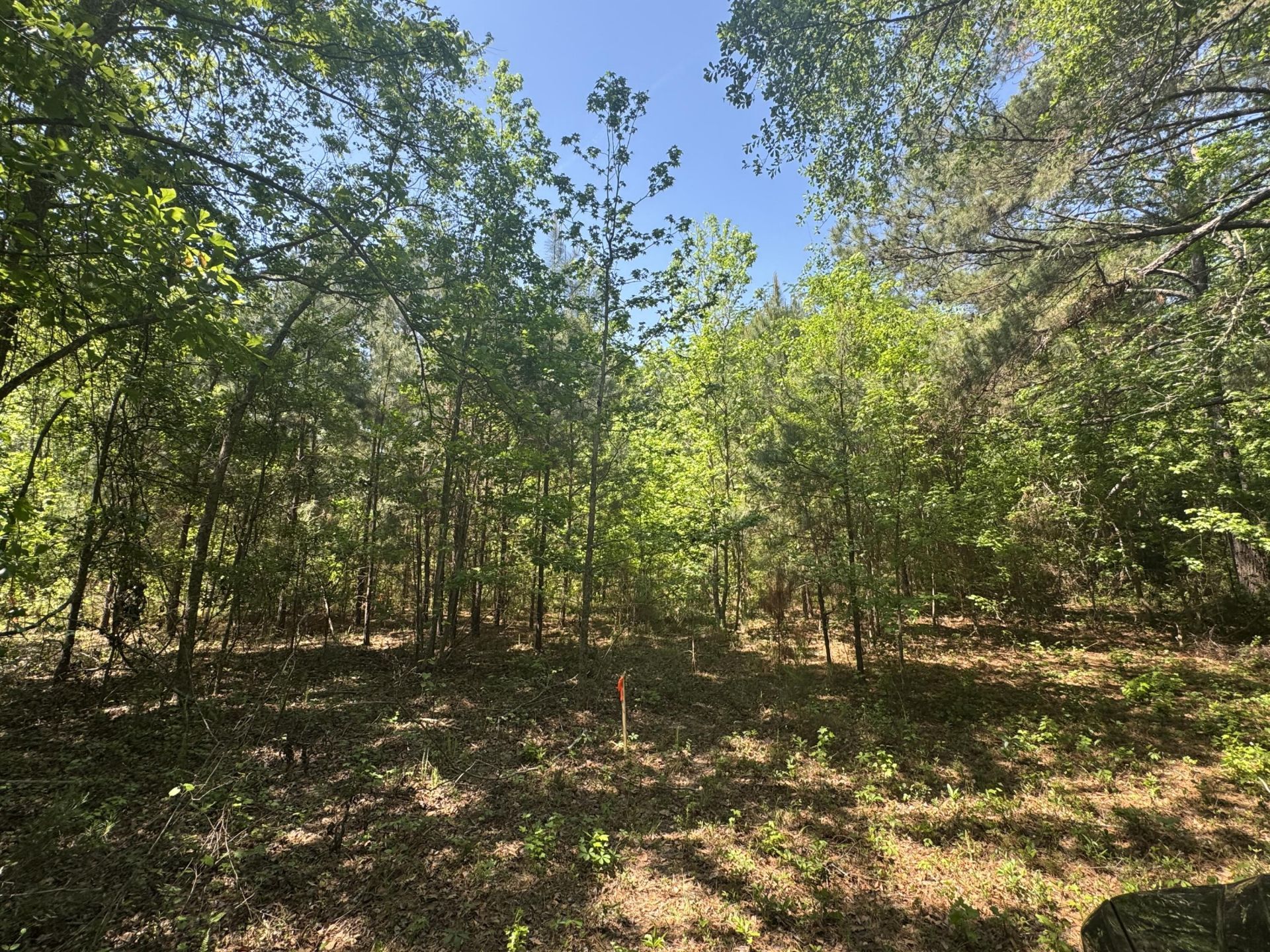 0 Clarks Hill Drive Photo 8