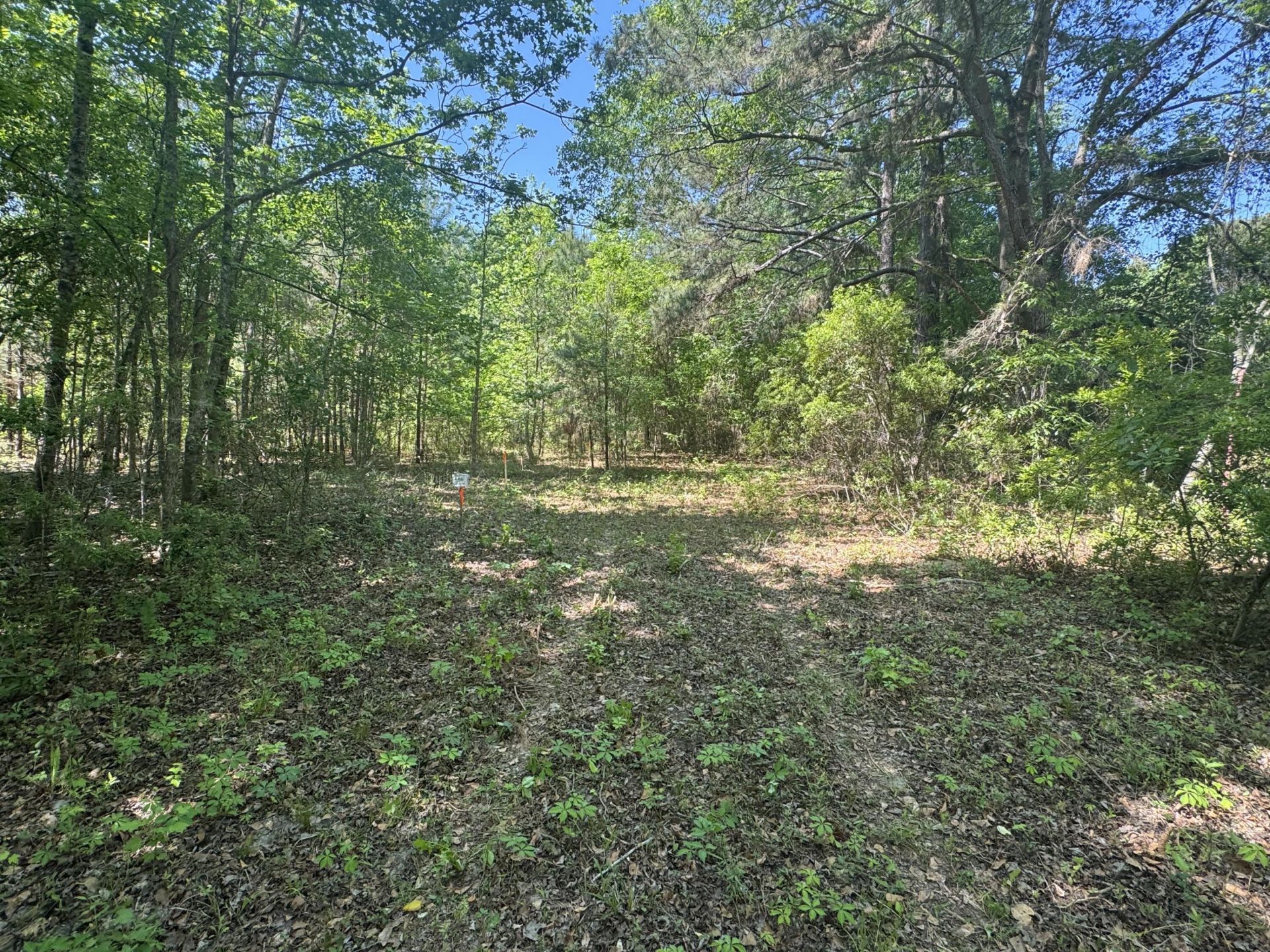 0 Clarks Hill Drive Photo 9