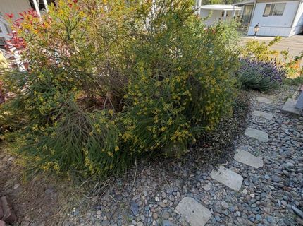 9060 Auburn Folsom Rd #19, Granite Bay, CA 95746 Photo