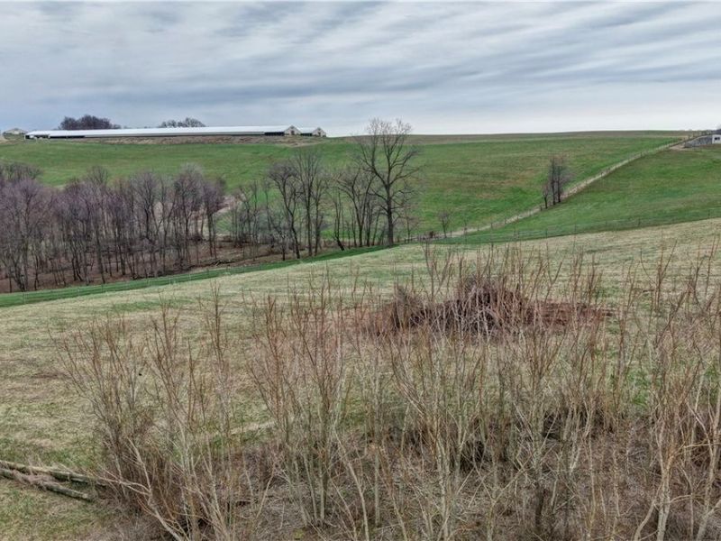 10316 Lower Trail Road NW, Dundee, OH 44624 Photo 2