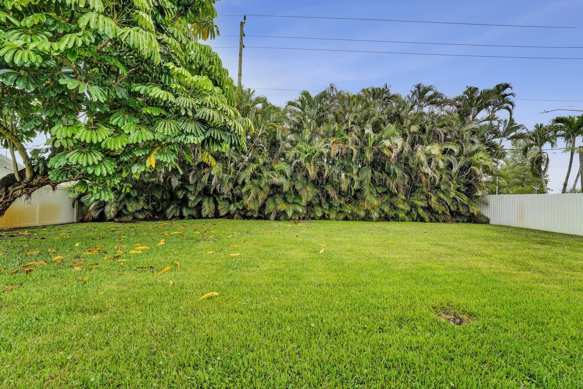 8650 SW 51st Street, Cooper City, FL 33328 Photo