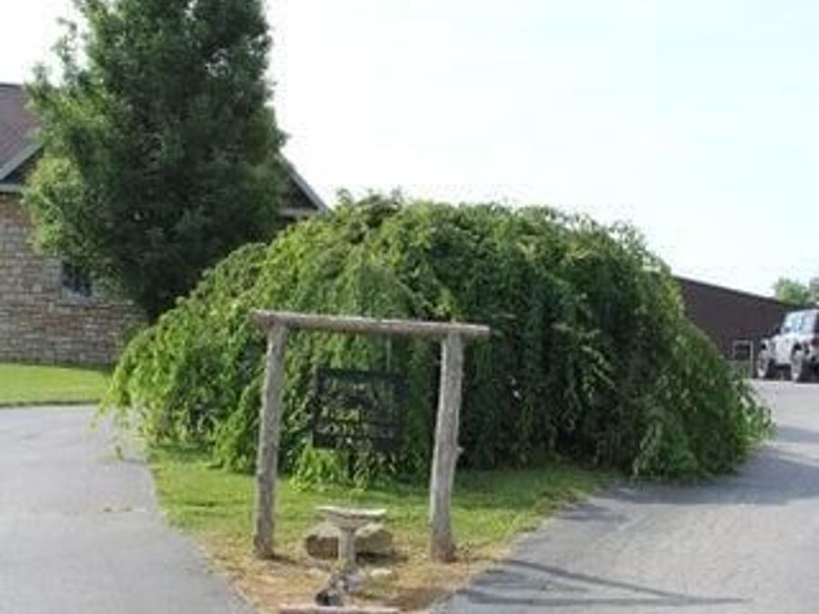 Property Image 12