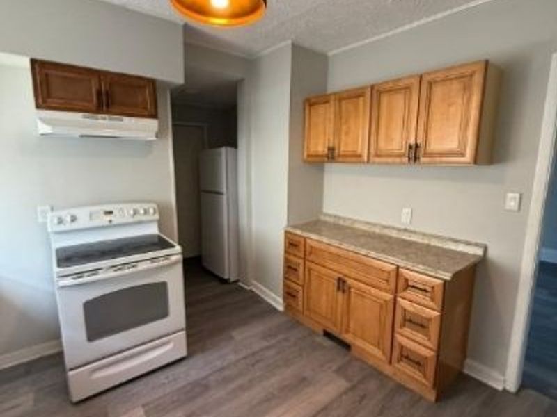 1336 Thoreau Road, Lakewood, OH 44107 Photo 4