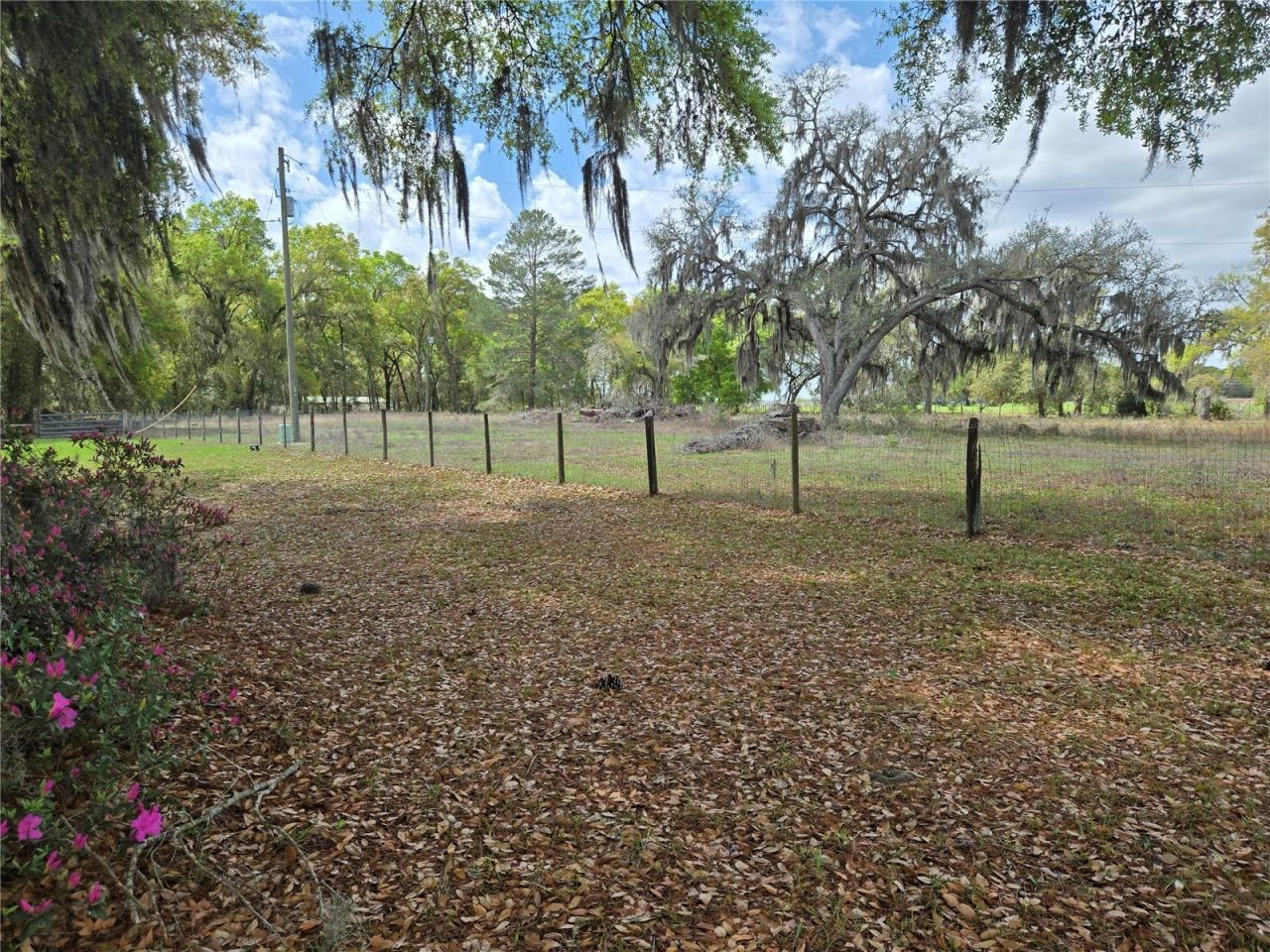 2327 Cr 528, Sumterville, FL 33585 Photo