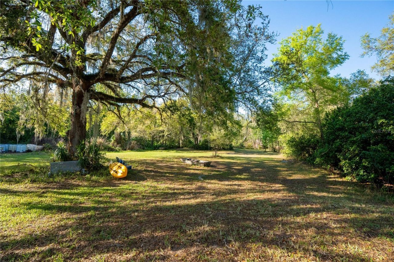 2468 Fawn Run, Oviedo, FL 32765 Photo