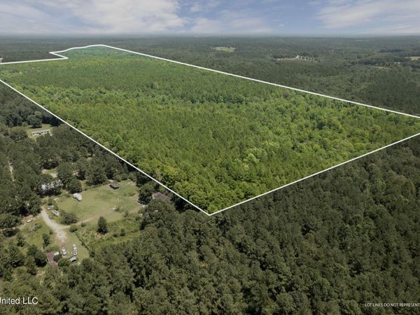 293 Acres Scruggs Road, Sumrall, MS 39482