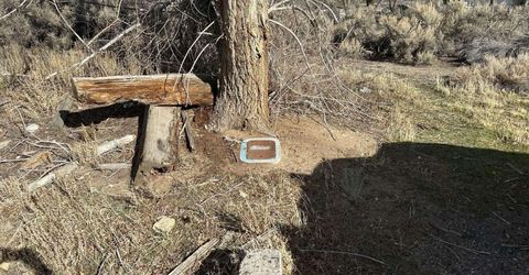 2387 Sneddon Way, Carson City, NV 89706 Photo