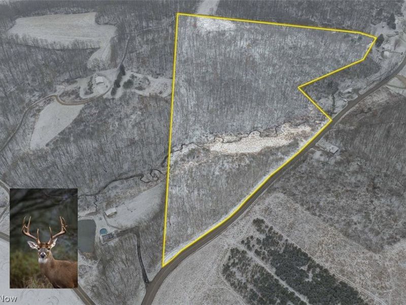 Bacon Road, Carrollton, OH 44615 Photo 1