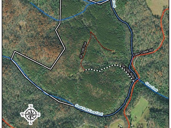 154 Coon Creek Rd, Sunbright, TN 37872